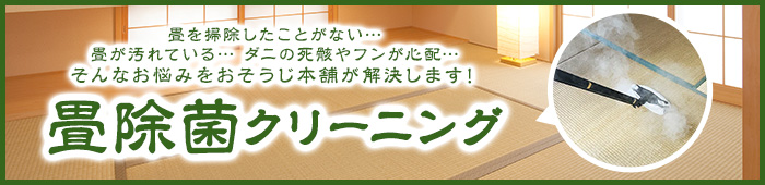 畳除菌クリーニング